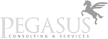 Pegasus Consulting & Services
